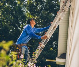 Photo by Iron Lotus Creative / Stephen Ironside